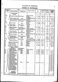 Griffiths Valuations